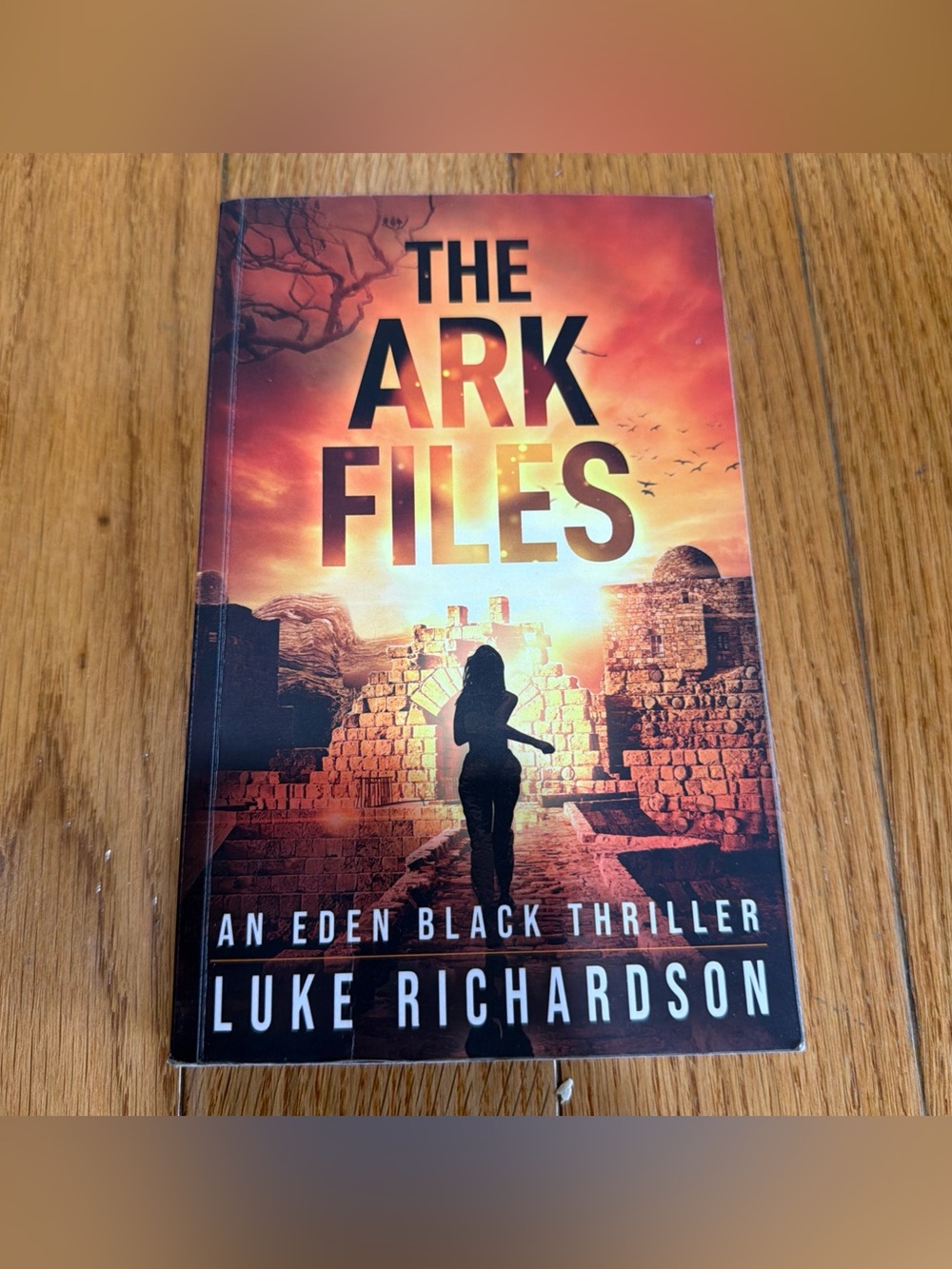 The Ark Files by - An eden black Thriller Luke Richardson